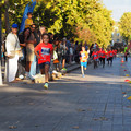 PA180953.JPG