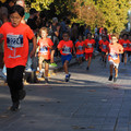 PA180957.JPG