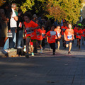 PA180966.JPG