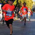 PA180968.JPG