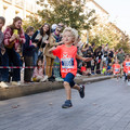 _DSC0239.jpg