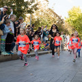 _DSC0246.jpg