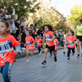 _DSC0251.jpg
