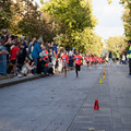 _DSC0300.jpg