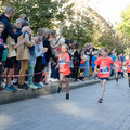_DSC0315.jpg