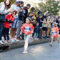 _DSC0340.jpg
