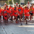 PA180975.JPG