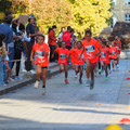 PA180978.JPG
