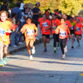 PA180983.JPG