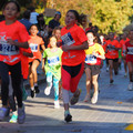 PA180986.JPG