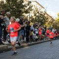 _DSC0383.jpg