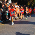 PA181006.JPG