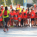 PA181020.JPG