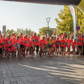 _DSC0431.jpg