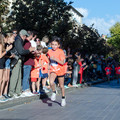 _DSC0437.jpg
