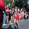 _DSC0456.jpg