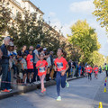 _DSC0517.jpg