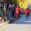 PA181077.JPG