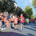 _DSC0556.jpg