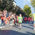 _DSC0558.jpg