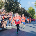 _DSC0575.jpg