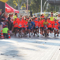 PA181138.JPG