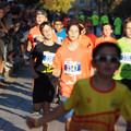 PA181146.JPG
