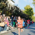 _DSC0743.jpg