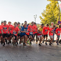 _DSC0801.jpg
