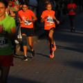PA181229.JPG