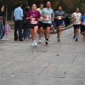 PA192659.JPG