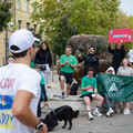 _DSC0841.jpg