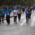 PA192115.JPG